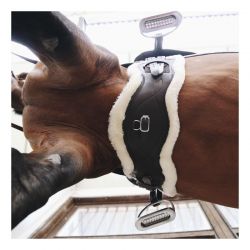 Sheepskin Anatomic Short Girth sangle de dressage anatomique courte en cuir et mouton chevaux Kentucky