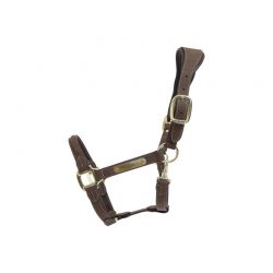 Anatomic Suede Halter licol anatomique en daim chevaux Kentucky