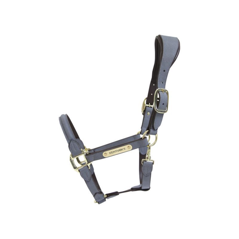 Anatomic Suede Halter licol anatomique en daim chevaux Kentucky Anatomic Suede Halter licol anatomique en daim chevaux Kentucky
