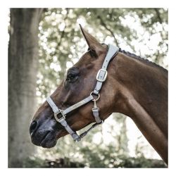 Anatomic Suede Halter licol anatomique en daim chevaux Kentucky