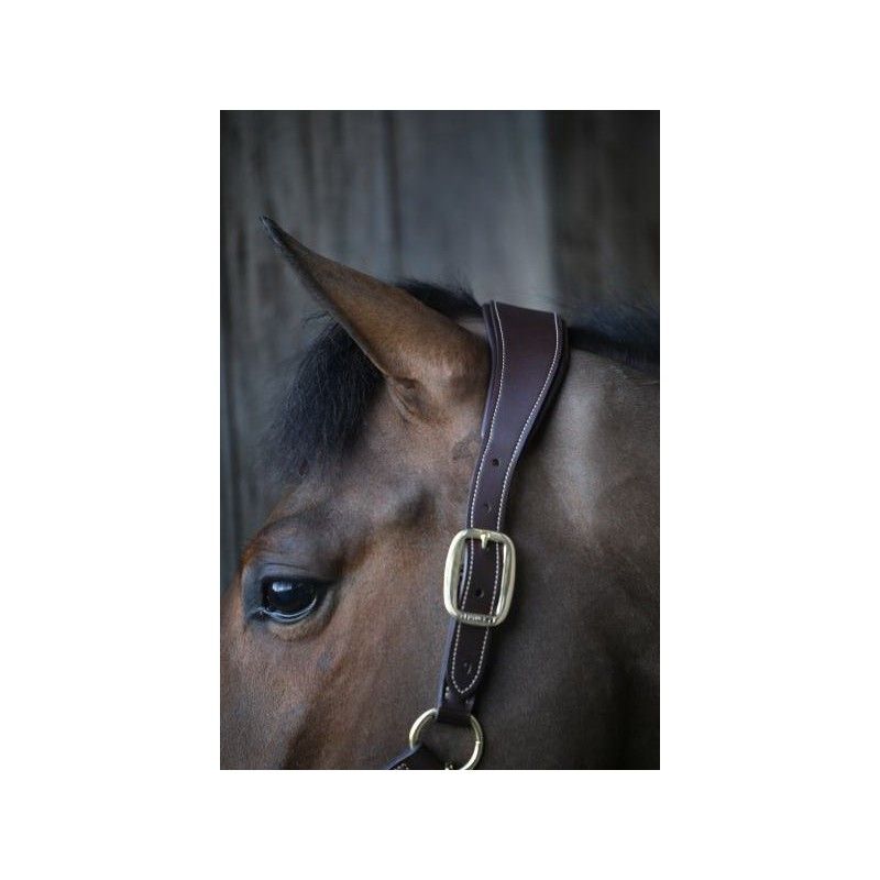 Anatomic Leather Halter licol anatomique chevaux Kentucky Anatomic Leather Halter licol anatomique chevaux Kentucky