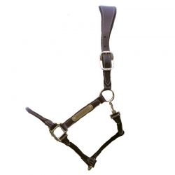 Anatomic Leather Halter licol anatomique chevaux Kentucky