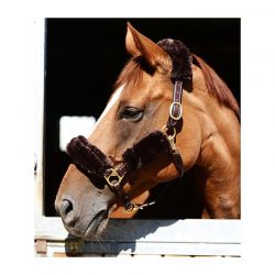 Sheepskin Halter Set kit fourreau mouton synthétique chevaux par 4 Kentucky