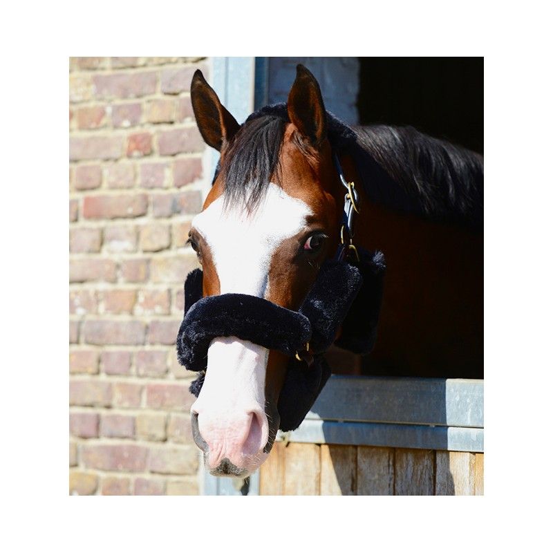Kit fourreaux licol en mouton synthétique par 9 chevaux Kentucky Kit fourreaux licol en mouton synthétique par 9 chevaux Kentucky