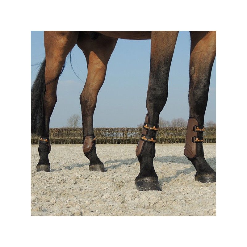 Young Horse Fetlock Boots protège-boulets jeunes chevaux Kentucky