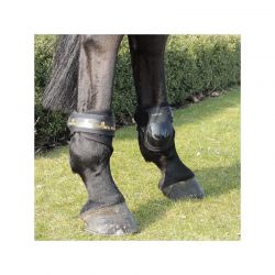 Young Horse Fetlock Boots protège-boulets jeunes chevaux Kentucky