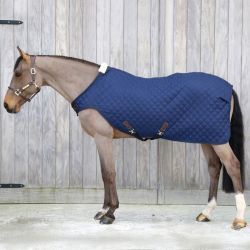 Walker Rug chemise marcheur 160g chevaux Kentucky