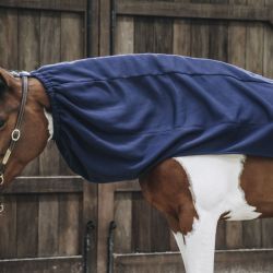 Cooler Fleece Horse Scarf couvre-cou polaire chevaux Kentucky