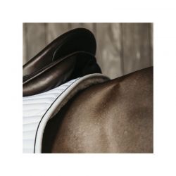 Skin Friendly Saddle Pad tapis dressage et jumping amortisseur intégré chevaux Kentucky