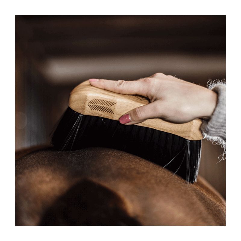 Bouchon Grooming Deluxe à poils durs chevaux Kentucky Bouchon Grooming Deluxe à poils durs chevaux Kentucky
