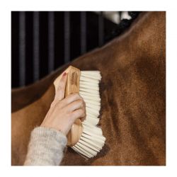 Bouchon Grooming Deluxe à poils doux chevaux Kentucky