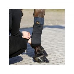 Working Bandage Pads Absorb sous-bandes de travail par 4 chevaux Kentucky