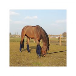 Stable Bandage Pads sous-bandes en coton américain par 4 chevaux Kentucky