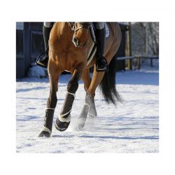 Turnout Boots Leather Hind guêtres postérieures en similicuir et mouton chevaux Kentucky