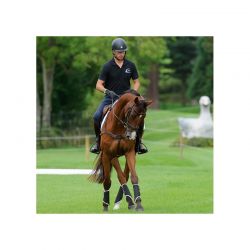 Turnout Boots Solimbra Hind guêtres postérieures en mouton et Solimbra chevaux Kentucky