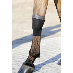 Chaussettes thérapeutiques Tendon Grip Gel chevaux Kentucky