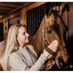 Brosse Grooming Deluxe douce à poils doux chevaux Kentucky