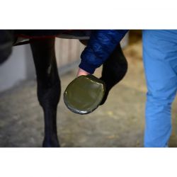 Sole Tape protège sole sabot chevaux Kentucky