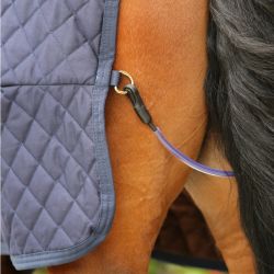 Tail Cord courroie de queue élastique chevaux Kentucky