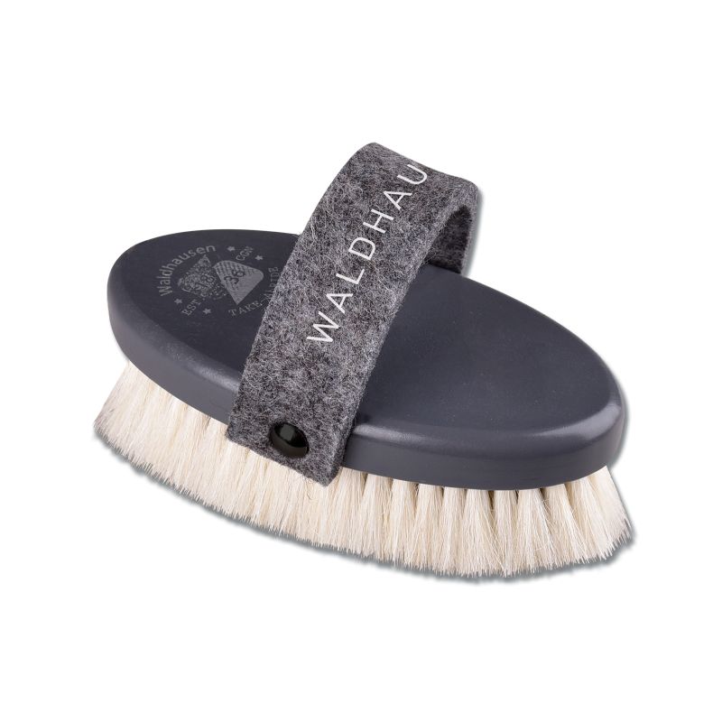 Brosse douce Nordic lustrante en poils de chèvre chevaux Waldhausen Brosse douce Nordic lustrante en poils de chèvre chevaux Waldhausen