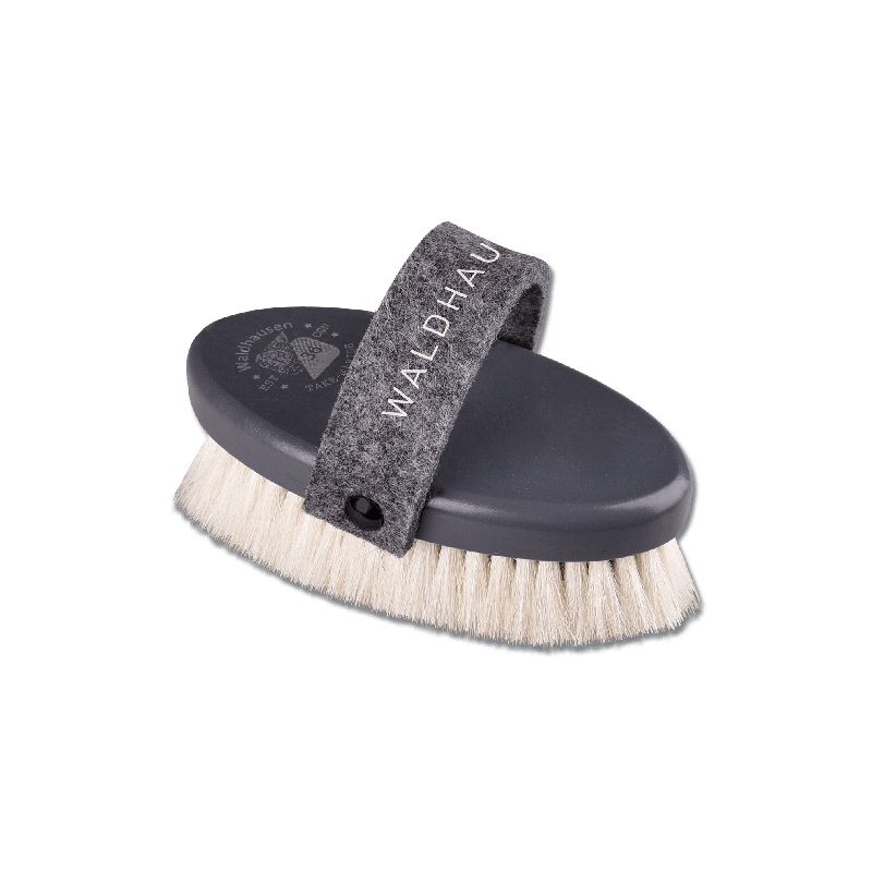 Brosse de tête Nordic en poils de chèvre chevaux Waldhausen Brosse de tête Nordic en poils de chèvre chevaux Waldhausen