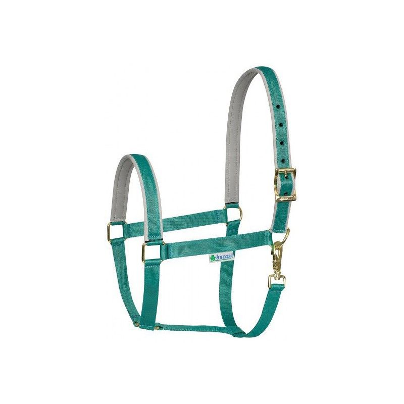 Licol Dublin Padded cheval Bucas