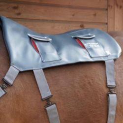 Tapis de massage 3 intensités cheval Equilibrium