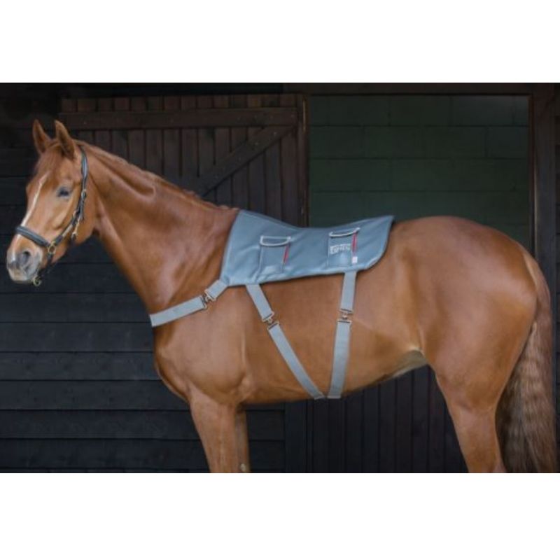 Tapis de massage 3 intensités cheval Equilibrium Tapis de massage 3 intensités cheval Equilibrium
