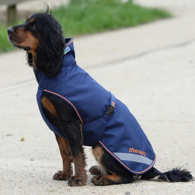 Couverture chien 300 g recuptex bucas 286 Couverture chien 300 g recuptex bucas 286