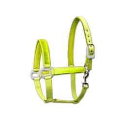 Licol réfléchissant Reflex Waldhausen