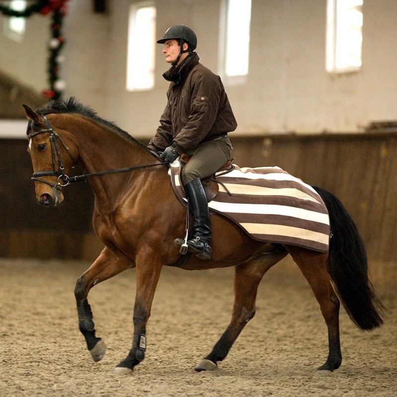 Couvre-Reins Pour Cheval - Taille 125 - Doublure Polaire, Extérieur Polyester 300D Imperméable - Riding Wolrd