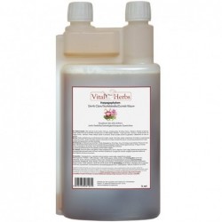 Harpagophytum  liquide  1 l Vital Herbs