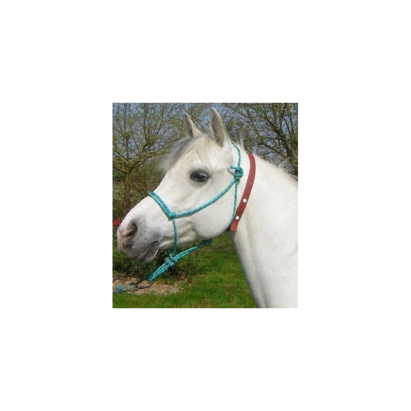 Collier anti-mouche cheval - Mon Cheval Collier anti-mouche cheval - Mon Cheval