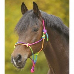 Licol halter  paretti   à...