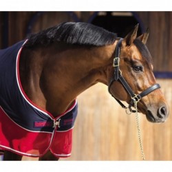 Chemise sechante  rambo sport cooler    horseware
