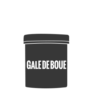 gale de boue cheval