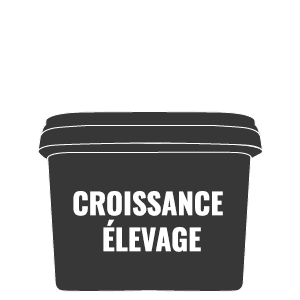 Complément poulain croissance