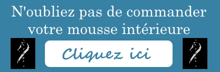 Comment bien choisir la taille de son casque d'équitation ? - Antarès  Sellier France